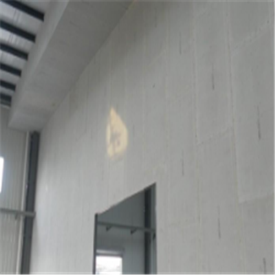 禅城宁波ALC板|EPS加气板隔墙与混凝土整浇联接的实验研讨